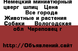 Немецкий миниатюрный(цверг) шпиц › Цена ­ 50 000 - Все города Животные и растения » Собаки   . Вологодская обл.,Череповец г.